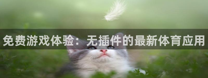 免费游戏体验：无插件的最新体育应用
