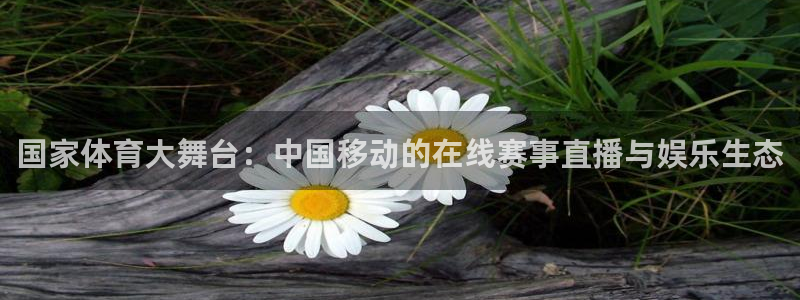 国家体育大舞台：中国移动的在线赛事直播与娱乐生态